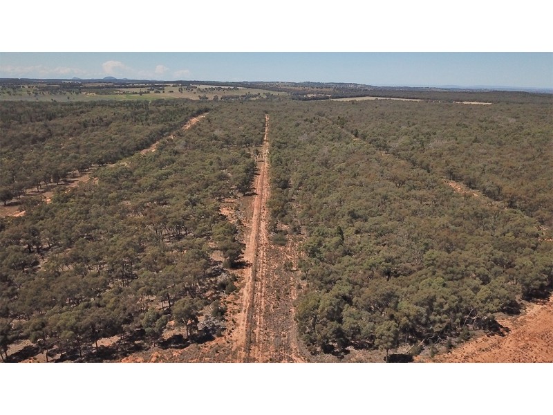 312 QUAKER TOMMY ROAD, Coonabarabran NSW 2357