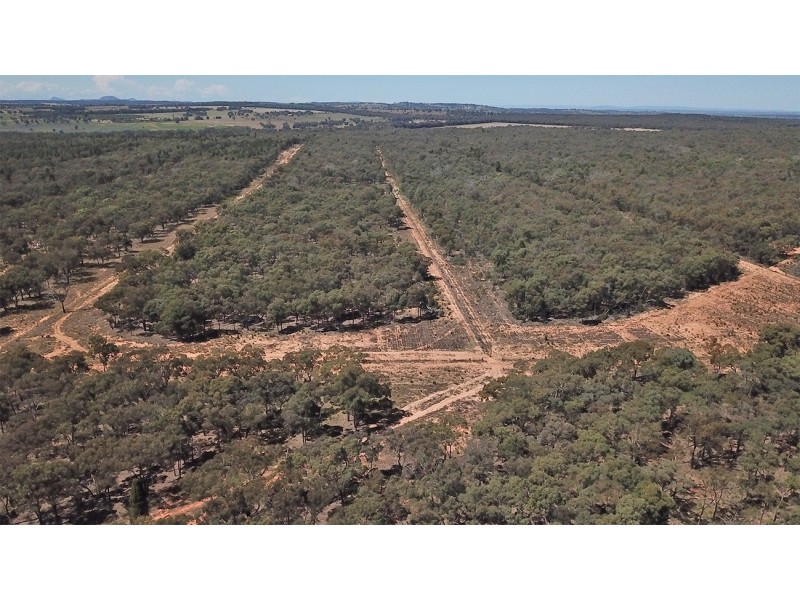 312 QUAKER TOMMY ROAD, Coonabarabran NSW 2357