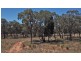312 QUAKER TOMMY ROAD, Coonabarabran NSW 2357