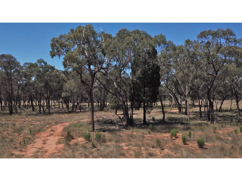 312 QUAKER TOMMY ROAD, Coonabarabran NSW 2357