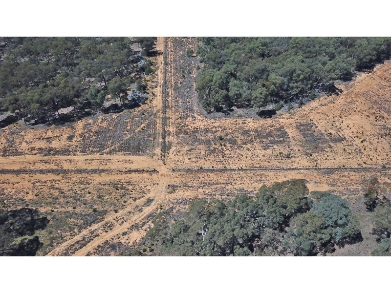 312 QUAKER TOMMY ROAD, Coonabarabran NSW 2357