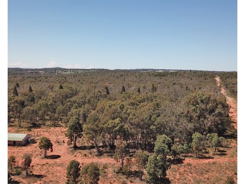 390 QUAKER TOMMY ROAD, Coonabarabran NSW 2357