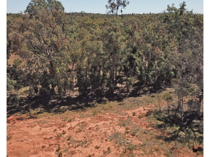 390 QUAKER TOMMY ROAD, Coonabarabran NSW 2357