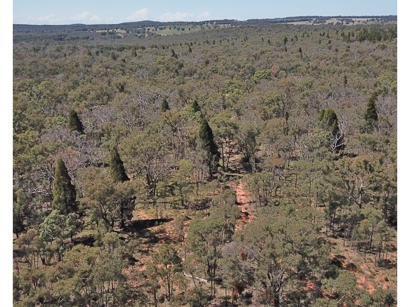 390 QUAKER TOMMY ROAD, Coonabarabran NSW 2357