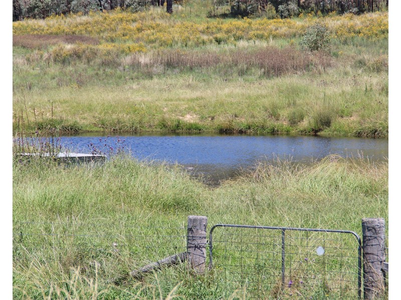 1287 TIMOR ROAD, Coonabarabran NSW 2357