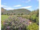1287 TIMOR ROAD, Coonabarabran NSW 2357