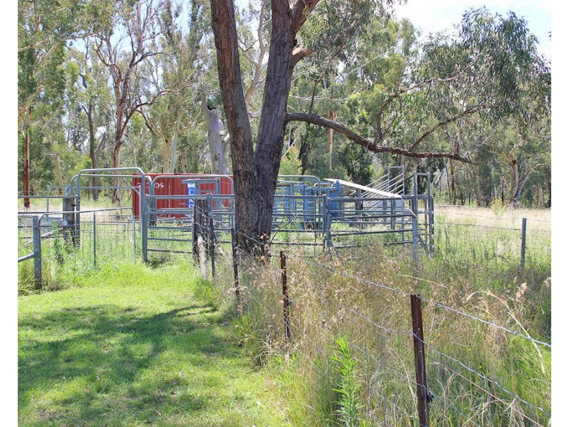 1287 TIMOR ROAD, Coonabarabran NSW 2357