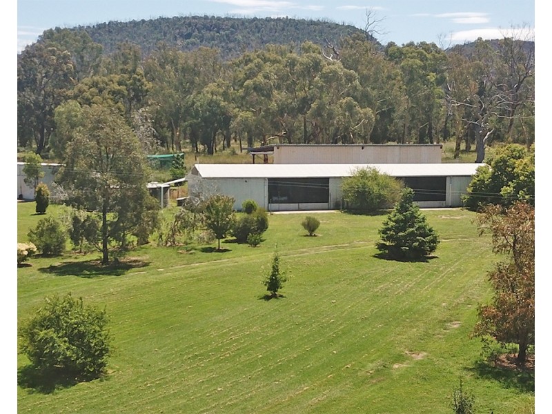 1287 TIMOR ROAD, Coonabarabran NSW 2357