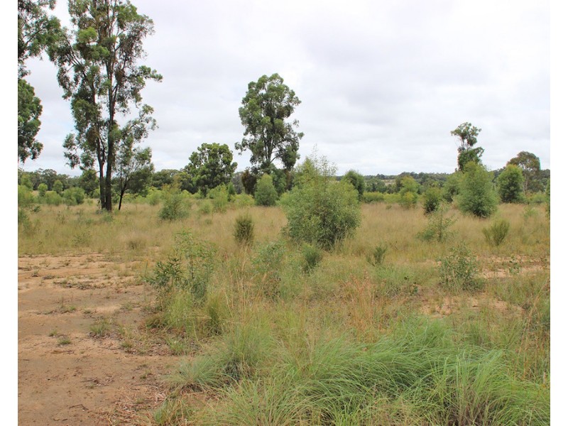 17004 OXLEY HIGHWAY, Coonabarabran NSW 2357