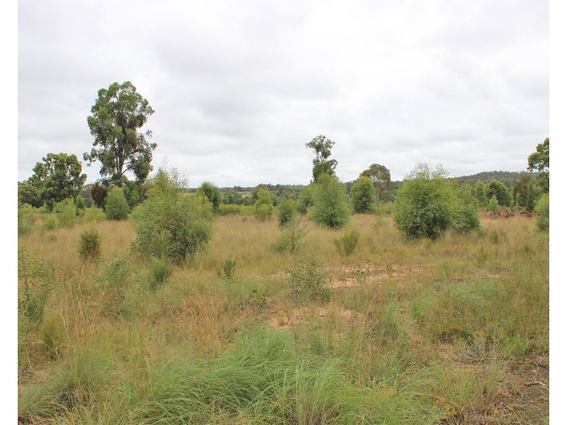 17004 OXLEY HIGHWAY, Coonabarabran NSW 2357