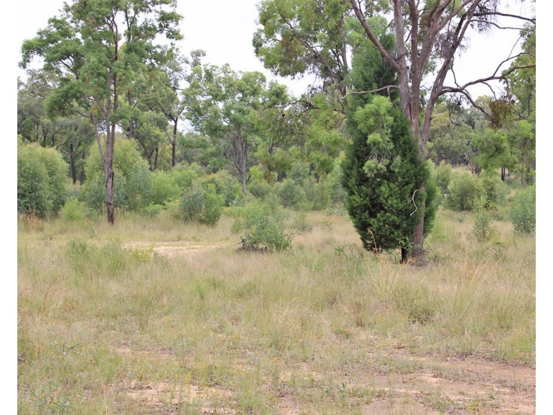 17004 OXLEY HIGHWAY, Coonabarabran NSW 2357