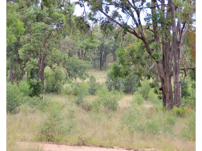 17004 OXLEY HIGHWAY, Coonabarabran NSW 2357