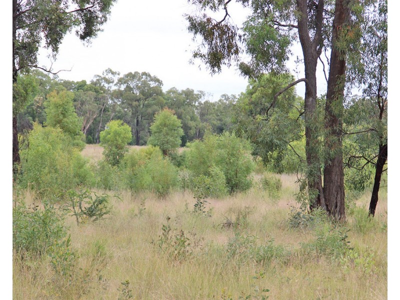 17004 OXLEY HIGHWAY, Coonabarabran NSW 2357