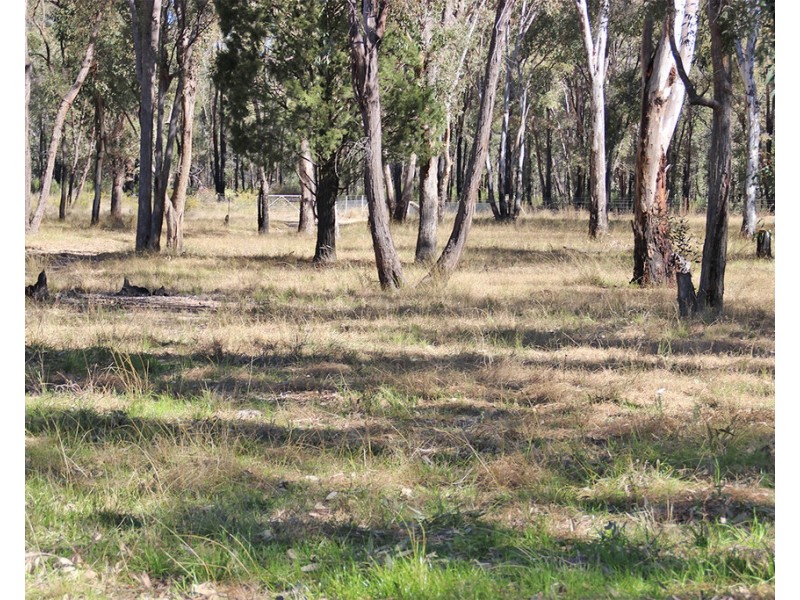 1142 MANCERS LANE, Box Ridge NSW 2357