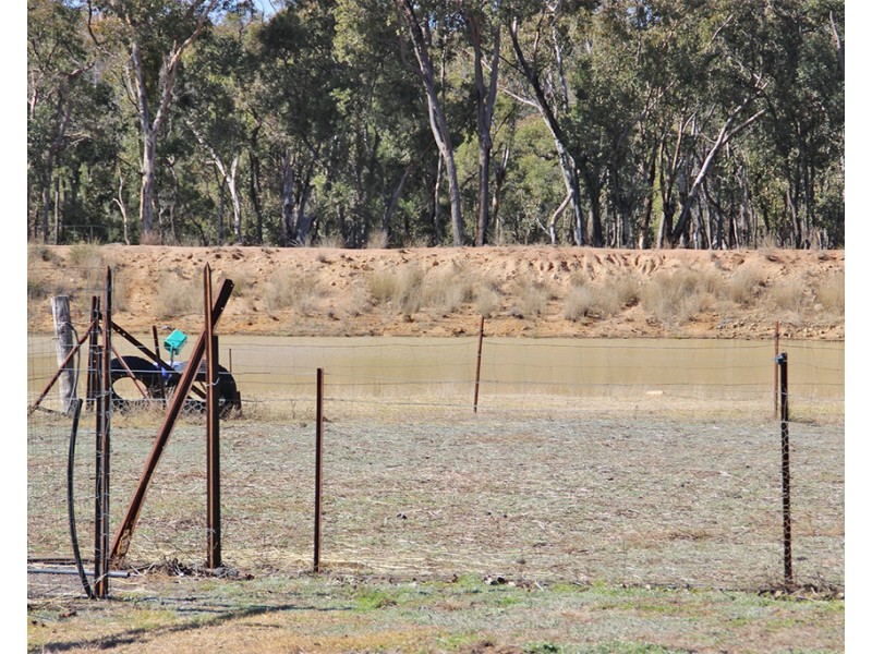 1142 MANCERS LANE, Box Ridge NSW 2357