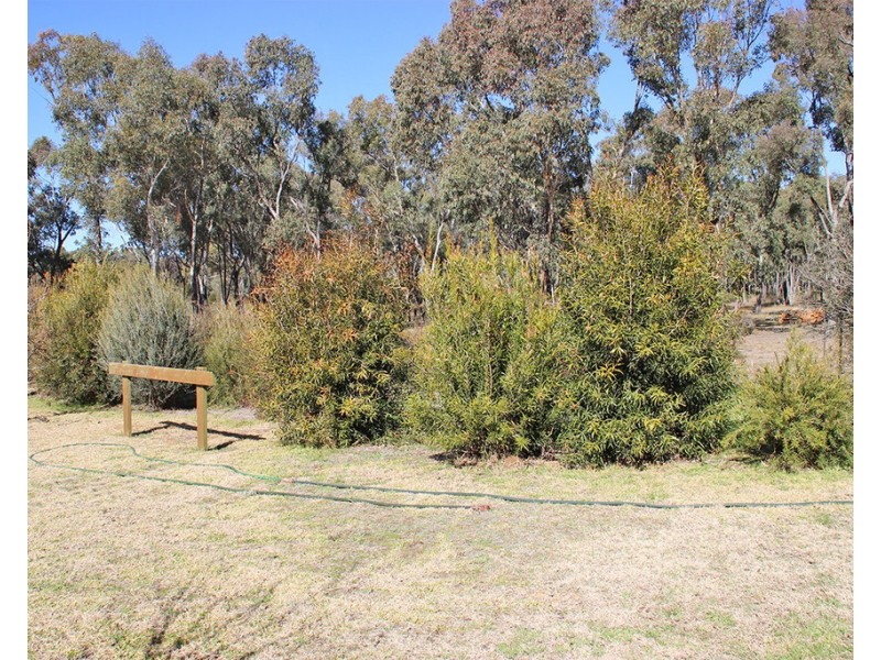 1142 MANCERS LANE, Box Ridge NSW 2357