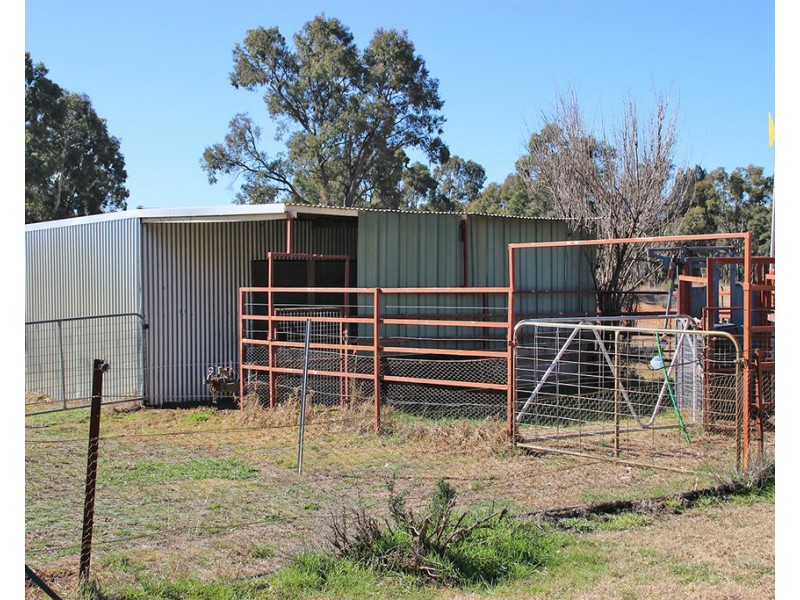 1142 MANCERS LANE, Box Ridge NSW 2357