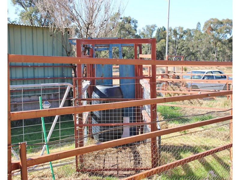 1142 MANCERS LANE, Box Ridge NSW 2357