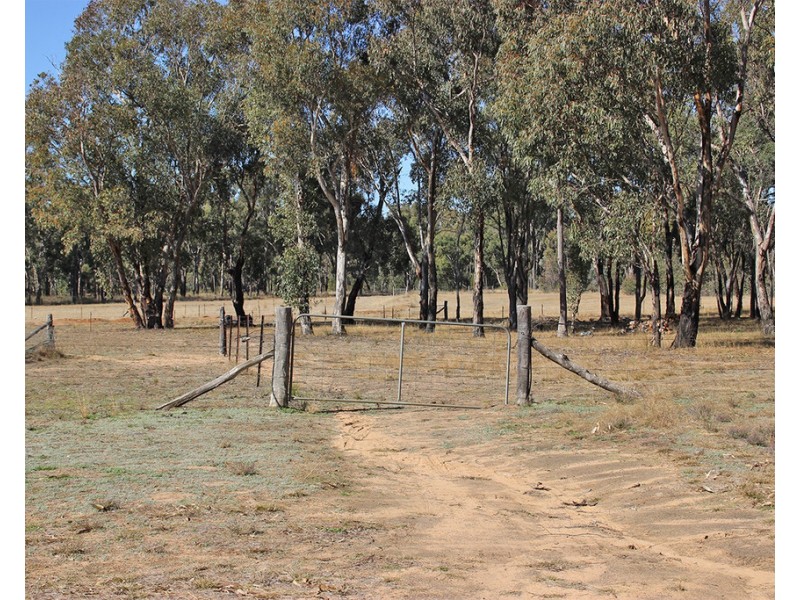 1142 MANCERS LANE, Box Ridge NSW 2357