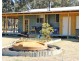 1142 MANCERS LANE, Box Ridge NSW 2357