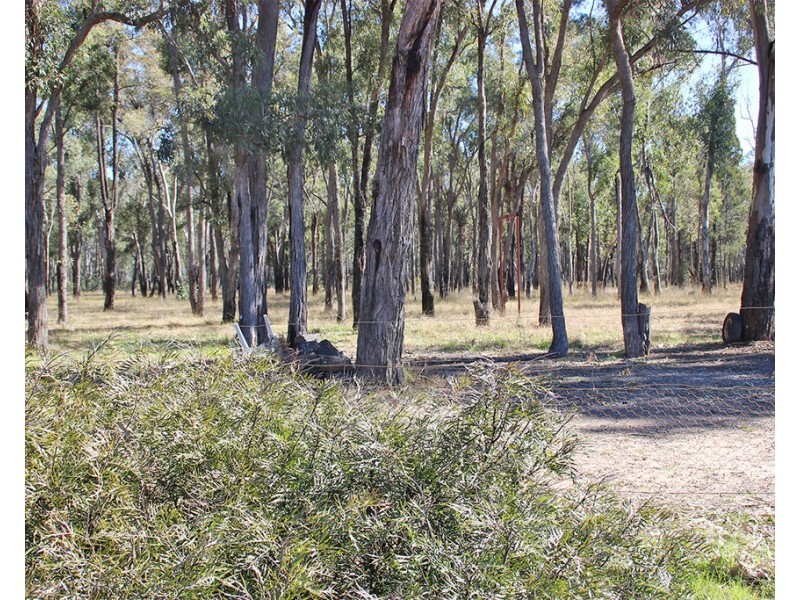 1142 MANCERS LANE, Box Ridge NSW 2357