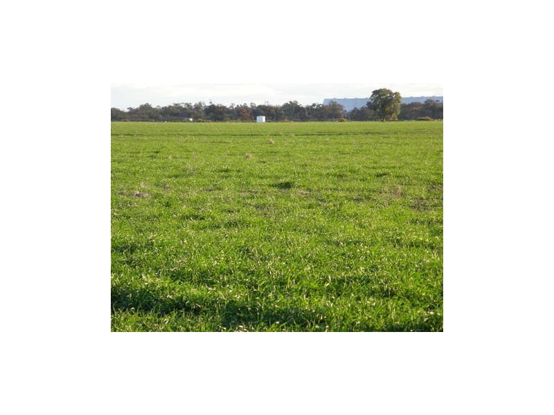 . Boomi Road, Garah NSW 2405