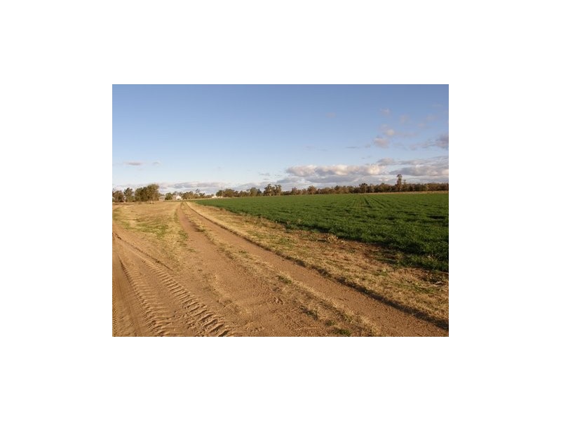 . Boomi Road, Garah NSW 2405