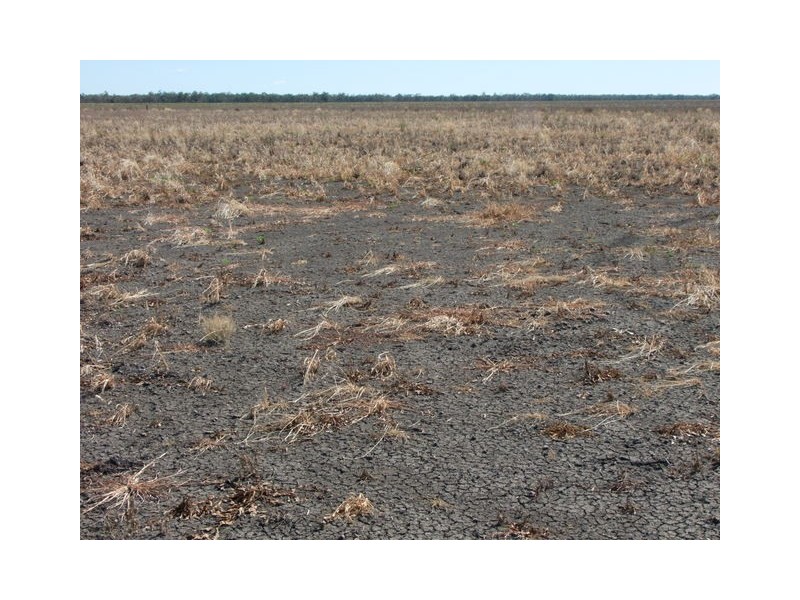 . Boomi Road, Garah NSW 2405