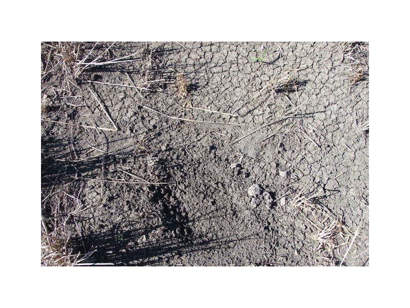 . Boomi Road, Garah NSW 2405