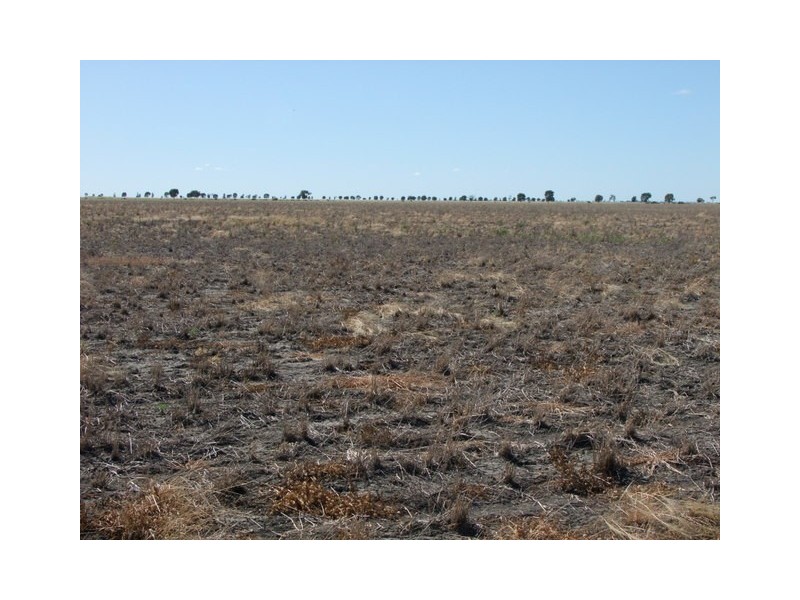 . Boomi Road, Garah NSW 2405