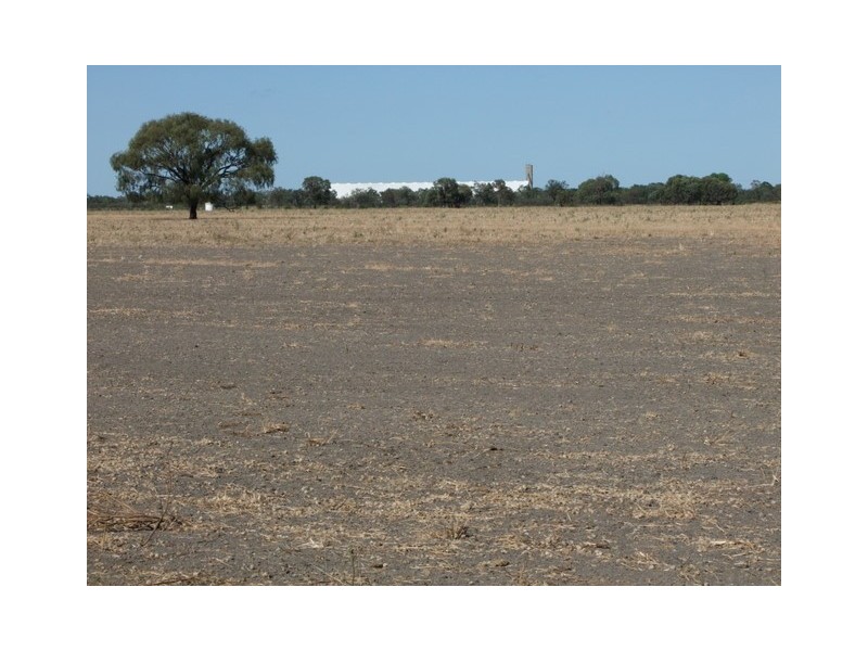 . Boomi Road, Garah NSW 2405