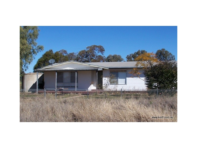 Willala NSW 2380