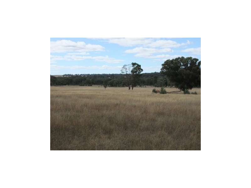Lot 142 Newlands, Coonabarabran NSW 2357