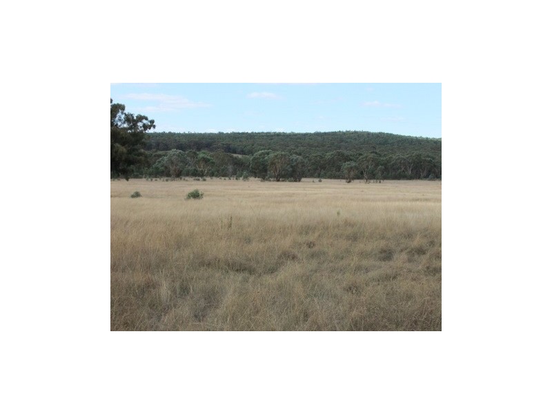 Lot 142 Newlands, Coonabarabran NSW 2357