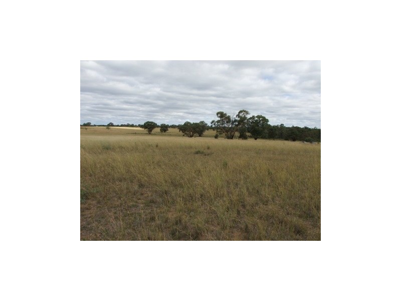 Lot 142 Newlands, Coonabarabran NSW 2357