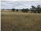 Lot 142 Newlands, Coonabarabran NSW 2357