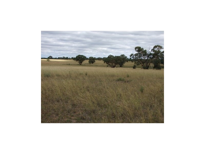 Lot 142 Newlands, Coonabarabran NSW 2357