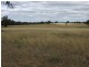 Lot 142 Newlands, Coonabarabran NSW 2357