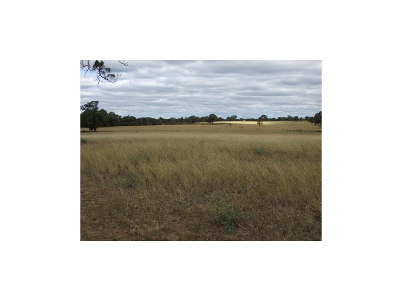 Lot 142 Newlands, Coonabarabran NSW 2357