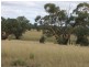 Lot 142 Newlands, Coonabarabran NSW 2357