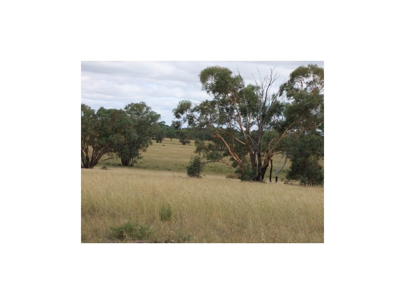 Lot 142 Newlands, Coonabarabran NSW 2357