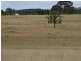 Lot 142 Newlands, Coonabarabran NSW 2357