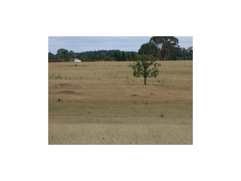Lot 142 Newlands, Coonabarabran NSW 2357