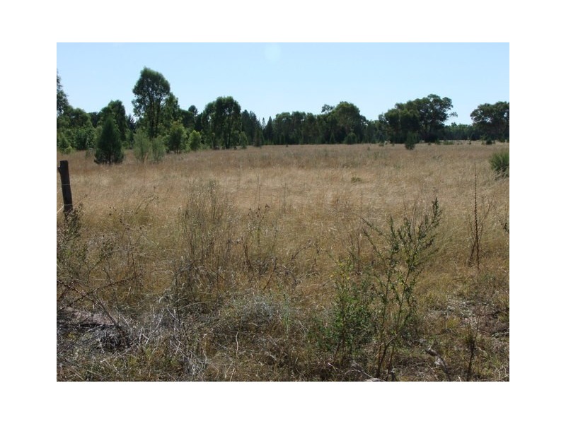 Baradine NSW 2396