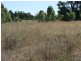 Baradine NSW 2396