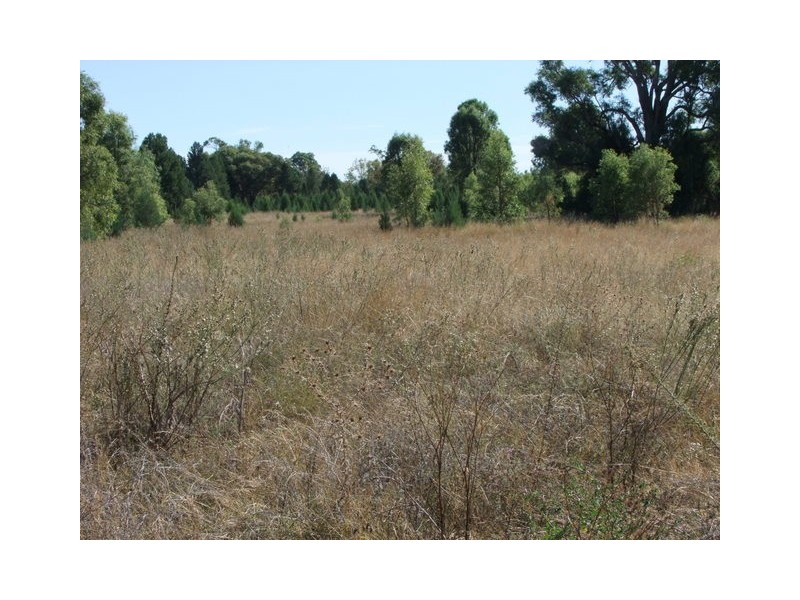 Baradine NSW 2396