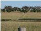 Lot 5 ‘MURRUMBONG’, Purlewaugh NSW 2357