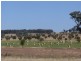 Lot 5 ‘MURRUMBONG’, Purlewaugh NSW 2357