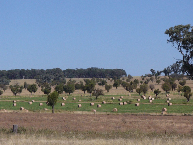 Lot 5 ‘MURRUMBONG’, Purlewaugh NSW 2357