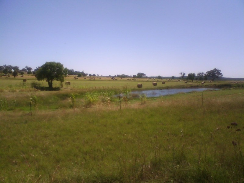 Lot 5 ‘MURRUMBONG’, Purlewaugh NSW 2357